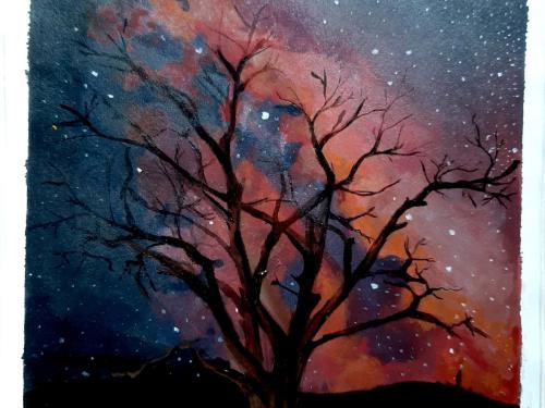 કાલ ની સાંજ......!